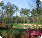 Ocean Ridge Plantation