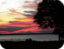 North Carolina Marina Communities, Arlington Place
