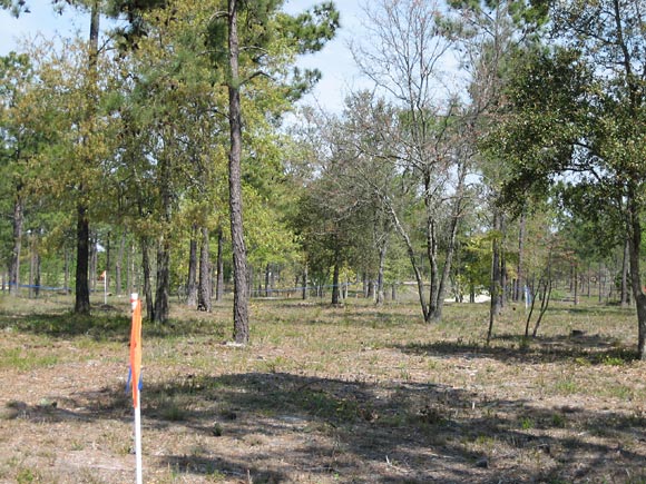 North Carolina Lots