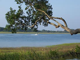 Landfall Realty, Landfal Homes, Wilmington North Carolina