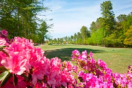 Magnolia Greens Ocean Isle Beach Real Estate