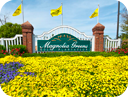 Magnolia Green Real Estate and Homes