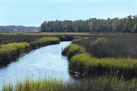 Seawatch at Holden Plantation Homes and Real Estate