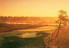 River's Edge Golf, Arnold Palmer, North Carolina Real Estate, North Carolina Retirement Communities, Gated Communities, Golf Communities, Ocean Ridge Plantation, River's Edge, Seawatch, and Seascape.