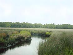River's Edge Golf, Arnold Palmer, North Carolina Real Estate, North Carolina Retirement Communities, Gated Communities, Golf Communities, Ocean Ridge Plantation, River's Edge, Seawatch, and Seascape.