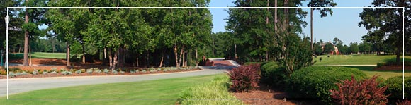 River Landing Golf Community, Real Estate, Homes