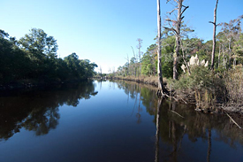 River Sea Plantation-Lockwood Folly River