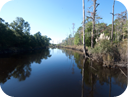 River's Edge Golf Club and Plantation homes and real estate