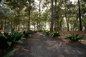 St. James Plantation Real Estate, Homes, and Condominums