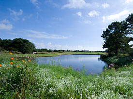 Thistle Golf Estates, Real Estate, Homes, Homesites