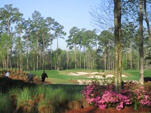 Tiger's Eye Golf Course