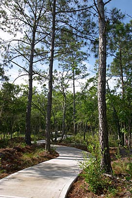 Seascape at Holden Plantation Real Estate